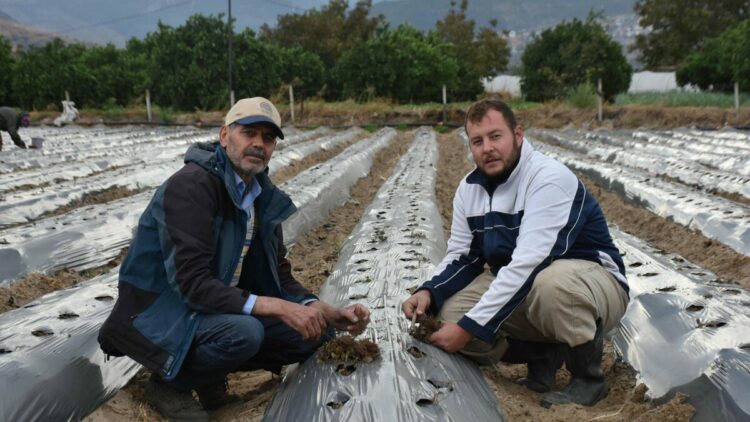 oğul, ata toprağında organik tarım yapıyor