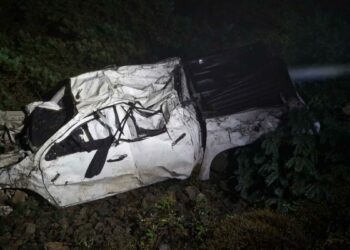 Uçuruma yuvarlanan kamyonetin sürücüsü öldü, 2 çocuğu yaralandı