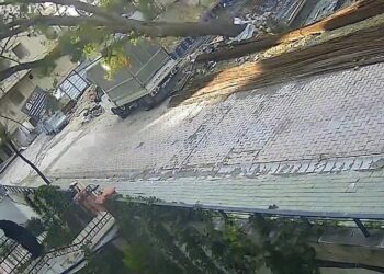 Avcılar’da devrilen ağacın altında kalmaktan son anda kurtuldu