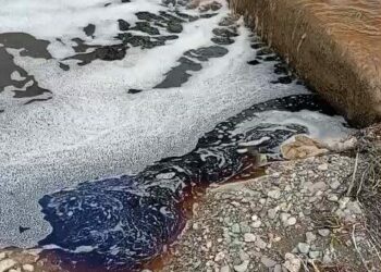 Yalova açıklarında deniz yüzeyi kırmızıya boyandı