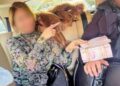 Adliyelerde menfaat karşılığı yargı süreçlerine müdahale ettiği belirlenen 8 şüpheli tutuklandı