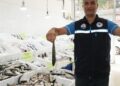 Van Gölü'nde inci kefalinin boyu, koruma çalışmalarıyla yüzde 30 uzadı