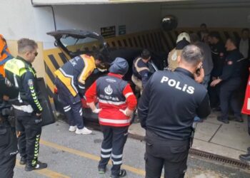 Maltepe'de otopark girişindeki duvara çarpan otomobilin sürücüsü ve köpeği yaralandı