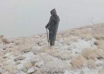 Ovacık'ta yaylaya kar yağdı