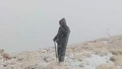 Ovacık'ta yaylaya kar yağdı