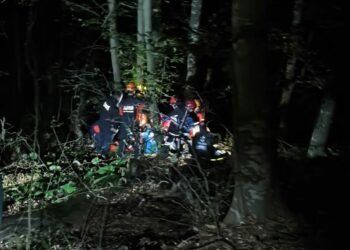 Kayıp Alzheimer hastası ormanda düştüğü derede bulundu