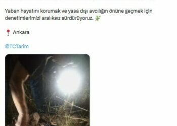 Ankara'da yasa dışı av denetimi; ses cihazları ve kameralar ele geçilirdi