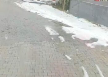 Kuvvetli yağış ve dolu nedeniyle tarım arazileri zarar gördü
