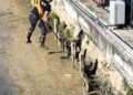 Balçıkla kaplı dere yatağında mahsur kalan kedileri itfaiyeciler kurtardı