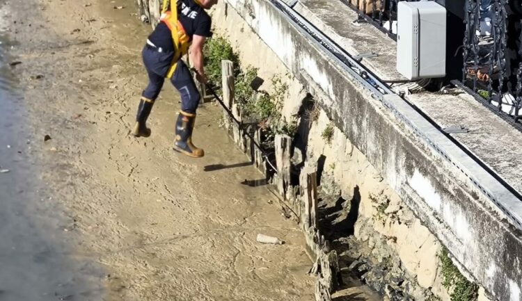 Balçıkla kaplı dere yatağında mahsur kalan kedileri itfaiyeciler kurtardı