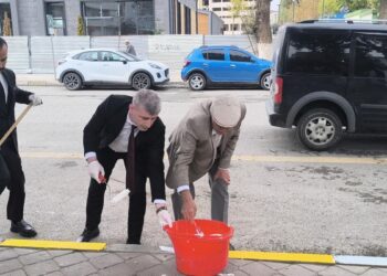 Valilik personeli, bordür taşlarını boyadı