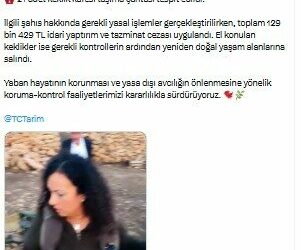 Mardin'de yasa dışı av denetimi; 22 kınalı keklik ele geçirildi