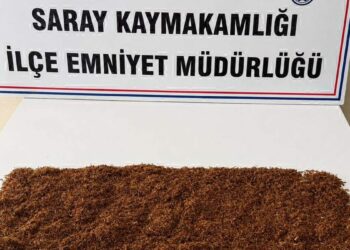 Güvercin kümesinde uyuşturucu bulundu; 1 tutuklama
