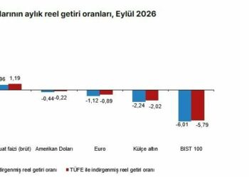 TÜİK: Eylül ayında en yüksek reel getiri DİBS'te oldu