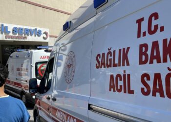Yıldırımın isabet ettiği çoban ağır yaralandı