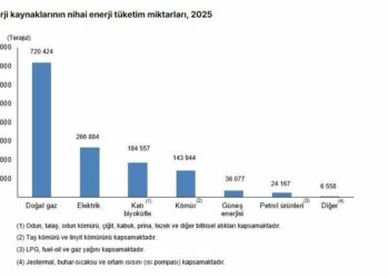 Hanehalkı toplam nihai enerji tüketimi 1,3 milyon terajul oldu