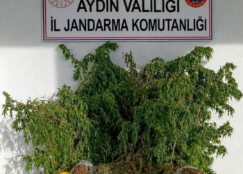 Evinde 3 kilo esrar ile yakalandı