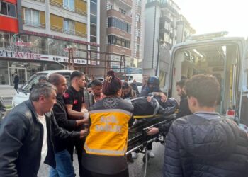 Kamyonetin çarptığı yaya öldü