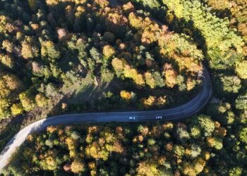 Bolu ormanlarında sonbahar renkleri