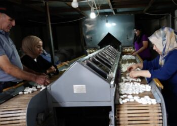 Diyarbakır’da ipek böcekçiliği, bin çiftçiye geçim kaynağı oluyor