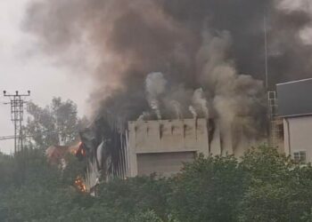 Mersin'de tütün işleme tesisinde yangın