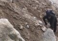 Ağrı Dağı’nda heyelan; dağcılar kayalardan son anda kurtuldu