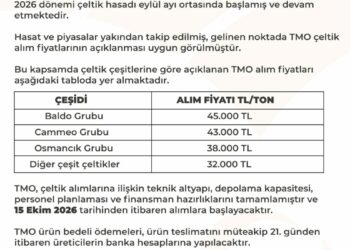 TMO çeltik alım fiyatları belirlendi