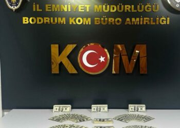 Bodrum'da 46 bin 200 sahte ABD doları ele geçirildi, 1 tutuklama