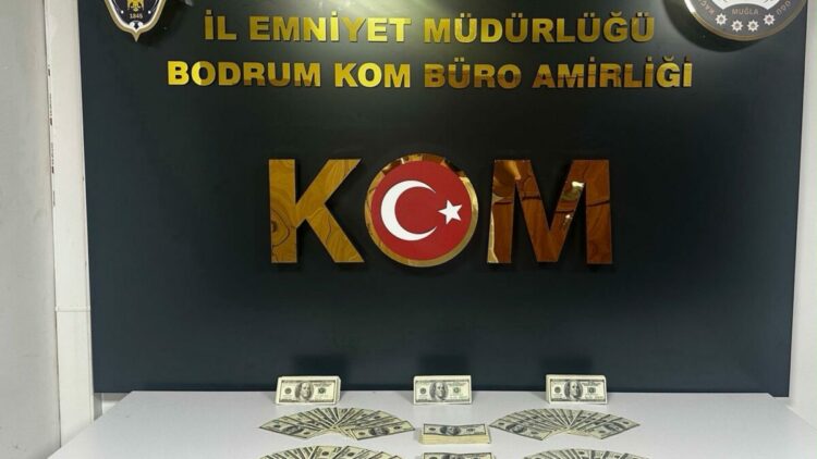 Bodrum'da 46 bin 200 sahte ABD doları ele geçirildi, 1 tutuklama