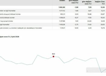 TÜİK: Tarım ürünleri üretici fiyatları aylık yüzde 1,99 azaldı