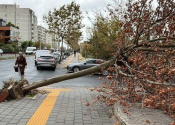 Tekirdağ'da fırtına; eğitim uçuşları iptal edildi, balıkçılar denize açılamadı