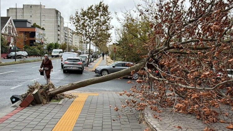 Tekirdağ'da fırtına; eğitim uçuşları iptal edildi, balıkçılar denize açılamadı