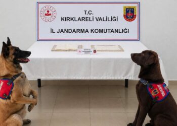 Cezaevine uyuşturucuyla girmeye çalışan hükümlü tutuklandı