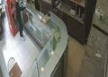 DMD hastası Berk'in bağış kumbarası çalındı
