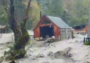 Sakarya'da sağanak; dereler taştı, evleri su bastı