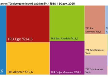 TÜİK: Tüketim harcamalarının 4'te 1'i İstanbul'da gerçekleşti