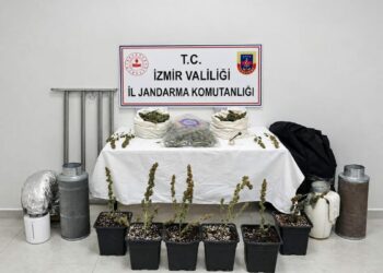 İzmir'de 5 kilo skunk ele geçirildi