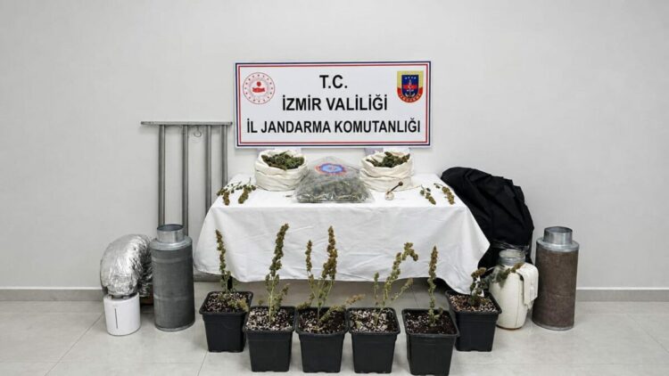 İzmir'de 5 kilo skunk ele geçirildi