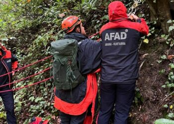 Kestane toplamak için gittiği ormanda ölü bulundu