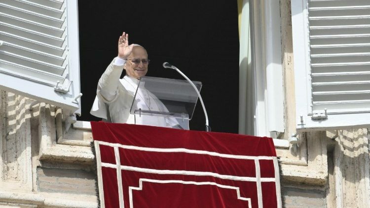 Akciğer ameliyatı geçiren Papa 14’üncü Leo taburcu edildi