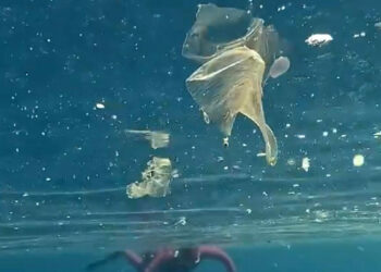 Yağışlar sonrası denizdeki plastik kirliliği kamerada