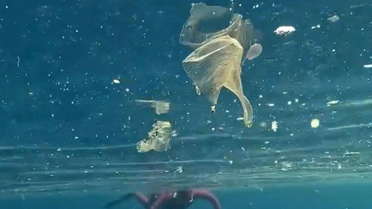 Yağışlar sonrası denizdeki plastik kirliliği kamerada
