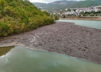 Tunceli'de suların taşıdığı atıklar, baraj gölü kıyısında birikti