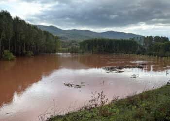 Amasra'da fırtına; çok sayıda ağaç devrildi