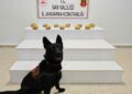 Başkale’de 11 kilo 958 gram toz esrar ele geçirildi