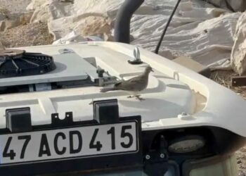 Kumrunun yuva yaptığı traktörünü 33 gün sonra yeniden çalıştırdı