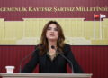 DEM Partili Gülistan Kılıç Koçyiğit'ten 2027 bütçesine sert tepki: Her 100 liranın 17 lirası faize gidiyor!