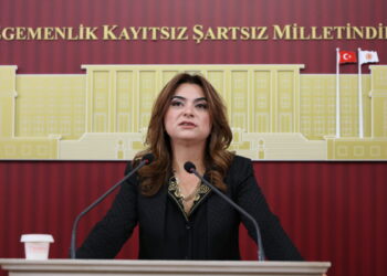 DEM Partili Gülistan Kılıç Koçyiğit'ten 2027 bütçesine sert tepki: Her 100 liranın 17 lirası faize gidiyor!