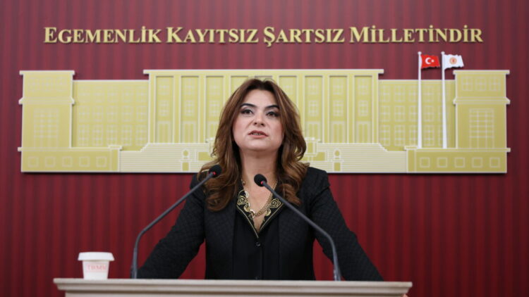 DEM Partili Gülistan Kılıç Koçyiğit'ten 2027 bütçesine sert tepki: Her 100 liranın 17 lirası faize gidiyor!