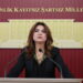 DEM Partili Gülistan Kılıç Koçyiğit'ten 2027 bütçesine sert tepki: Her 100 liranın 17 lirası faize gidiyor!